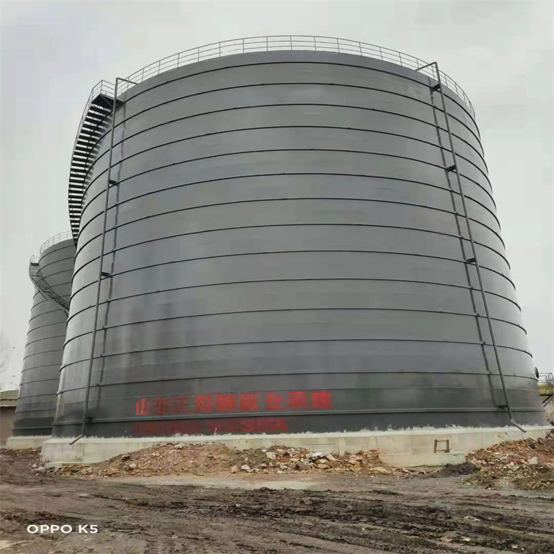 仪征3万吨大型钢板库